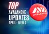 Avalanche Update | April Week 3 | Vesper Grow Now on Avalanche