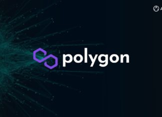 Polygon Launches $100 Million Fund for Web3 Developers