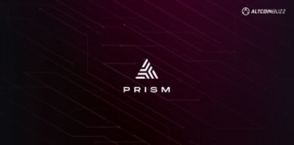 Guide: What Is Prism Protocol?