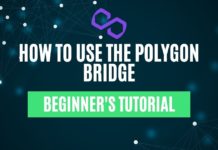 how to use the polygon bridge