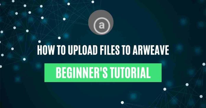 How to Use Arweave