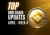 BNB Chain Updates | Pitbull Goes Live on Rice Wallet | April Week 4