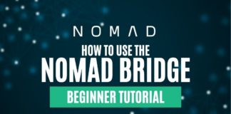 How to Use the NOMAD Bridge