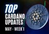 Cardano Updates | Argus Launches Platform for Cardano NFTs | May Week 1