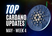 Top cardano news may week 4