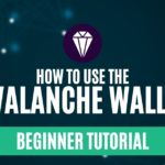 How to Use the Avalanche Wallet