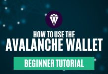 How to Use the Avalanche Wallet