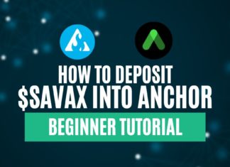 Detailed Steps on Depositing $sAVAX Into Anchor