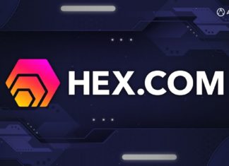 What You Should Know About HEX.com