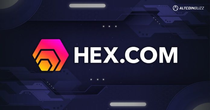 What You Should Know About HEX.com