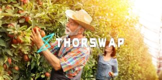 Top 3 Farms on THORSwap