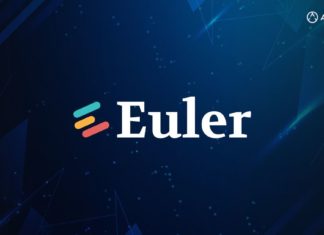 Euler Finance - A Review