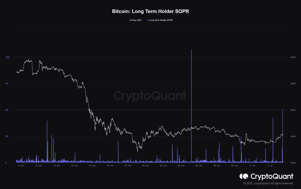 Bitcoin long term holders