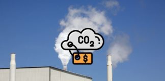 bitgreen carbon credit marketplace in polkadot