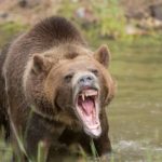 How the Bear Market Affected Crypto Exchanges