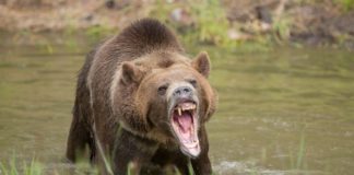 How the Bear Market Affected Crypto Exchanges