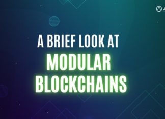 A Brief Look at Modular Blockchains