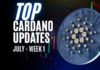 Cardano Updates | Cardano Ecosystem Statistics for June | July Week 1