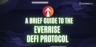 A Brief Guide to the EverRise DeFi Protocol