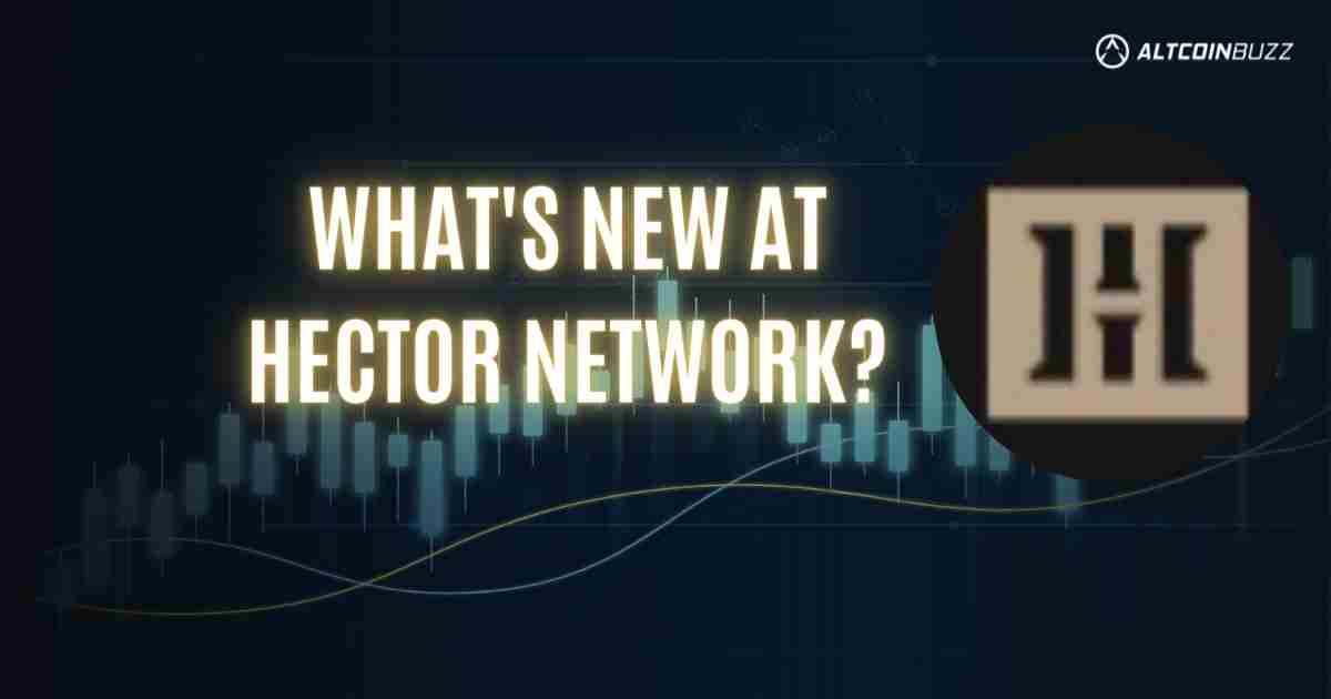 Hector Network Recap for July 2022
