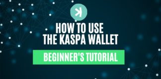 how to use the kaspa wallet