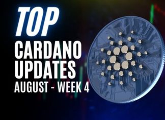 Top cardano news august week 4