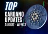 Top cardano news August week 3