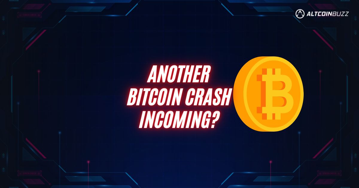 Another Bitcoin Crash Incoming?
