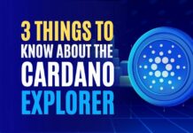 3 Things to Know About the Cardano Explorer