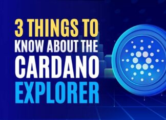 3 Things to Know About the Cardano Explorer