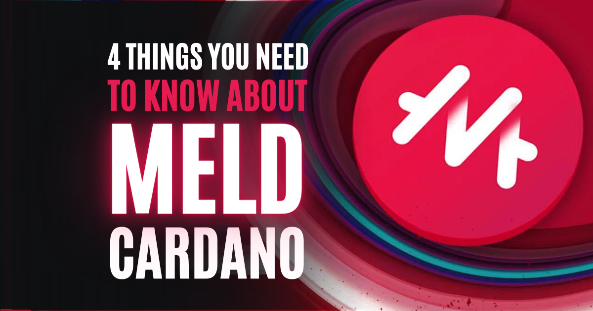 4 Things You Need to Know About Meld Cardano