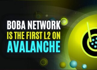boba network on avalanche
