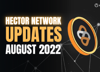 Hector network updates august 2022