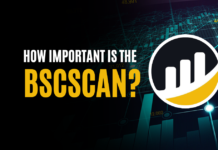 How Important is the BscScan?