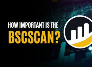 How Important is the BscScan?