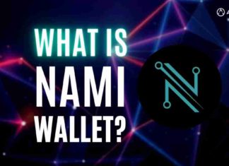 What is Nami Wallet?