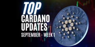 Cardano Updates | Vasil Hard Fork Is Almost Here | Sep Week 1
