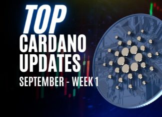 Cardano Updates | Vasil Hard Fork Is Almost Here | Sep Week 1