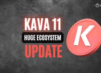 kava 11 update