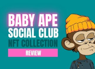 Baby Ape Social Club NFT Collection Review