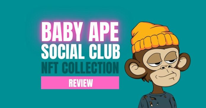 Baby Ape Social Club NFT Collection Review