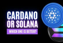 which is better, cardano or solana?