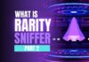 What Is Rarity Sniffer, Part 2
