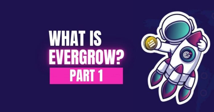 What Is EverGrow? Part 1