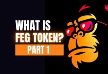 What Is FEG Token? Part 1