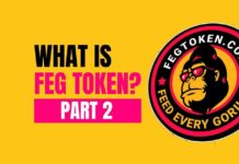 What Is FEG Token? Part 2
