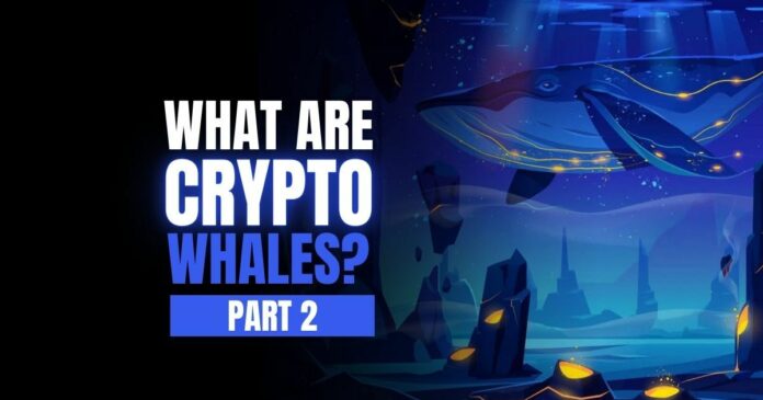 crypto whales review