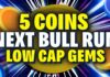 5 low cap gems for the next bull run