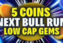 5 low cap gems for the next bull run