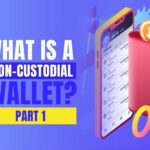 what is a non custodial wallet?
